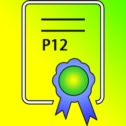 P12签名证书